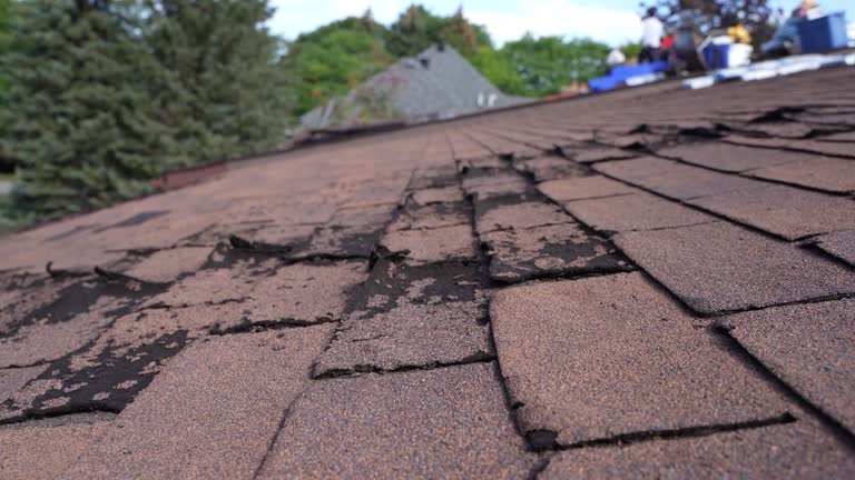 Emergency Roof Repair in Monticello, WI